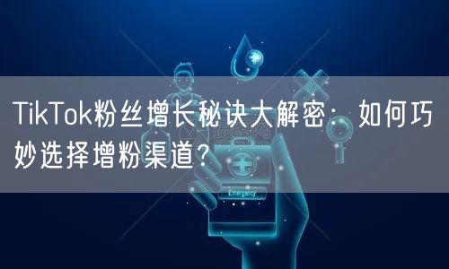 TikTok粉丝增长秘诀大解密：如何巧妙选择增粉渠道？