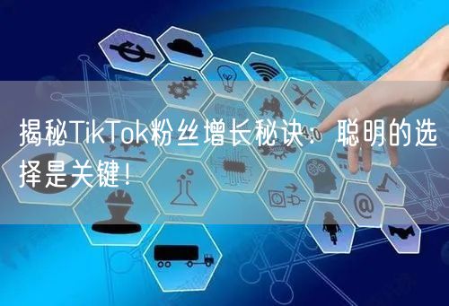 揭秘TikTok粉丝增长秘诀：聪明的选择是关键！