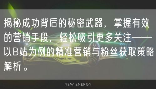 揭秘成功背后的秘密武器，掌握有效的营销手段，轻松吸引更多关注——以B站为例的精准