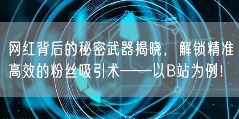 网红背后的秘密武器揭晓，解锁精准高效的粉丝吸引术——以B站为例！