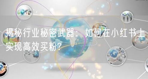 揭秘行业秘密武器：如何在小红书上实现高效买粉?