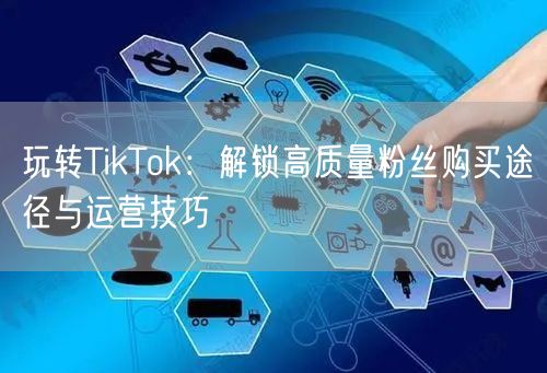 玩转TikTok：解锁高质量粉丝购买途径与运营技巧