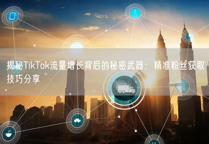 揭秘TikTok流量增长背后的秘密武器：精准粉丝获取技巧分享