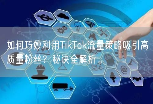 如何巧妙利用TikTok流量策略吸引高质量粉丝？秘诀全解析。