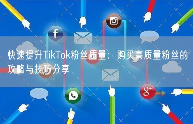 快速提升TikTok粉丝质量：购买高质量粉丝的攻略与技巧分享