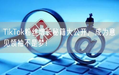 TikTok粉丝增长秘籍大公开，成为意见领袖不是梦！