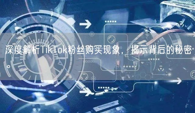 深度解析TikTok粉丝购买现象，揭示背后的秘密。