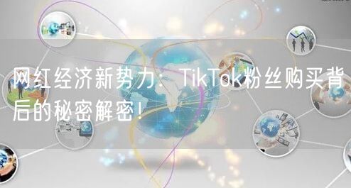 网红经济新势力：TikTok粉丝购买背后的秘密解密！