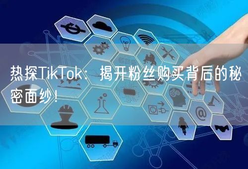 热探TikTok：揭开粉丝购买背后的秘密面纱！