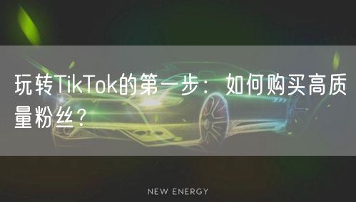 玩转TikTok的第一步：如何购买高质量粉丝？
