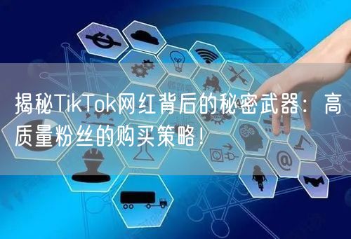 揭秘TikTok网红背后的秘密武器：高质量粉丝的购买策略！
