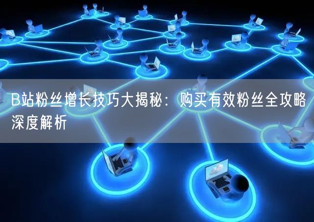 B站粉丝增长技巧大揭秘：购买有效粉丝全攻略深度解析