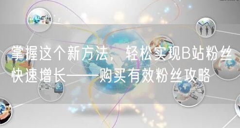 掌握这个新方法，轻松实现B站粉丝快速增长——购买有效粉丝攻略