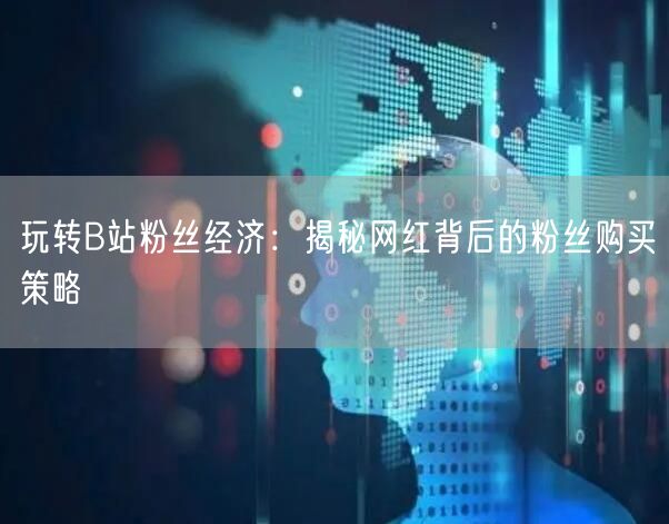 玩转B站粉丝经济：揭秘网红背后的粉丝购买策略
