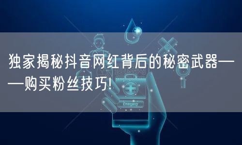 独家揭秘抖音网红背后的秘密武器——购买粉丝技巧!