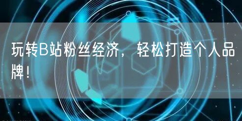 玩转B站粉丝经济，轻松打造个人品牌！