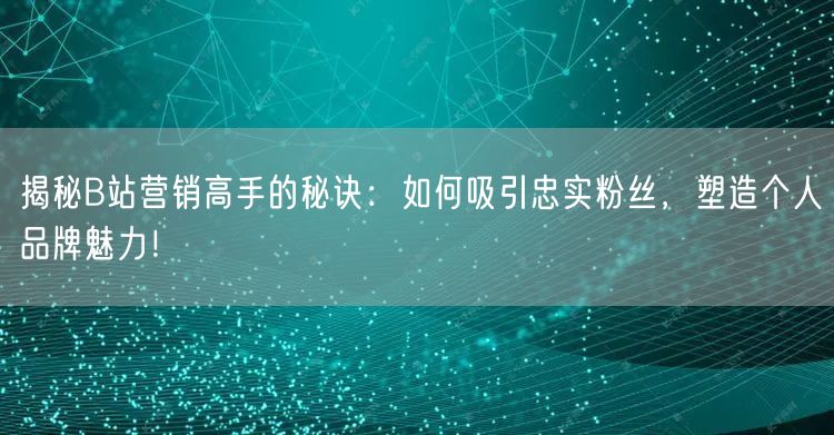揭秘B站营销高手的秘诀：如何吸引忠实粉丝，塑造个人品牌魅力！