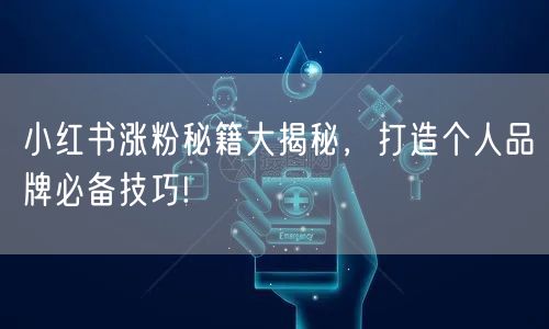 小红书涨粉秘籍大揭秘，打造个人品牌必备技巧!