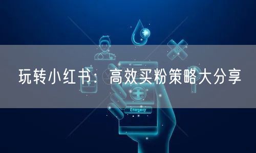 玩转小红书：高效买粉策略大分享