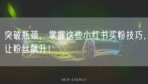 突破瓶颈，掌握这些小红书买粉技巧，让粉丝飙升！