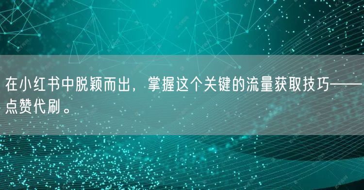 在小红书中脱颖而出，掌握这个关键的流量获取技巧——点赞代刷。