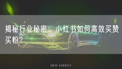 揭秘行业秘密：小红书如何高效买赞买粉？