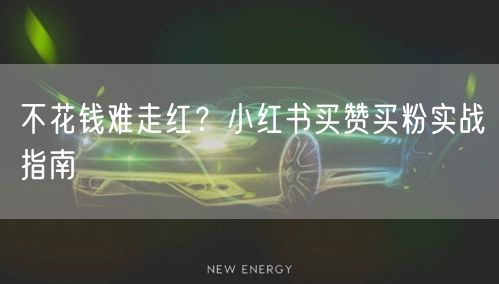 不花钱难走红？小红书买赞买粉实战指南