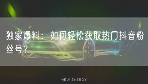 独家爆料：如何轻松获取热门抖音粉丝号？