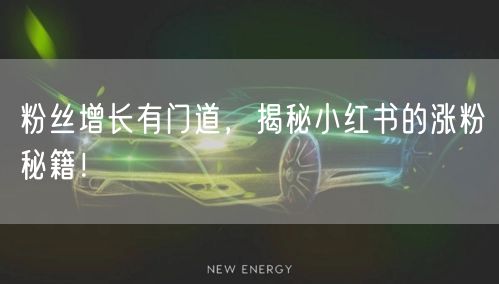 粉丝增长有门道，揭秘小红书的涨粉秘籍！