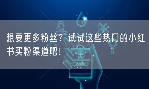 想要更多粉丝？试试这些热门的小红书买粉渠道吧！